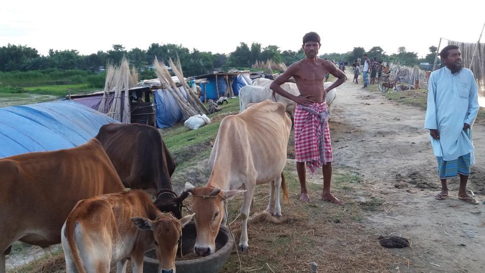 For Jute Farmers Floods are a Roll of the Dice